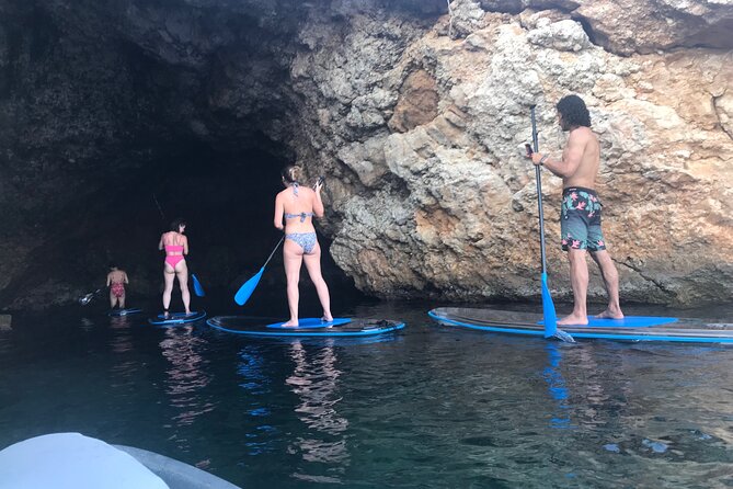 Snorkeling-out : Transparent Kayak or SUP Tour - SUP or transparent kayak: choosing the right fit