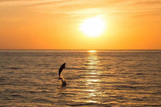 Sunset Beach Hopping Cruise, Cala Comte and Cala Bassa, SUP and snorkelling - On-board life: SUP, snorkels, and slides without the hassle