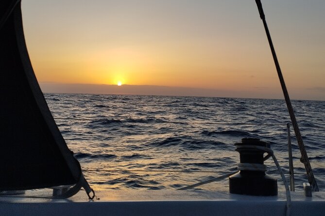 Sunset Private Sailboat Experience in Ibiza - Price and value: $590 per group up to 7, what you’re really paying for