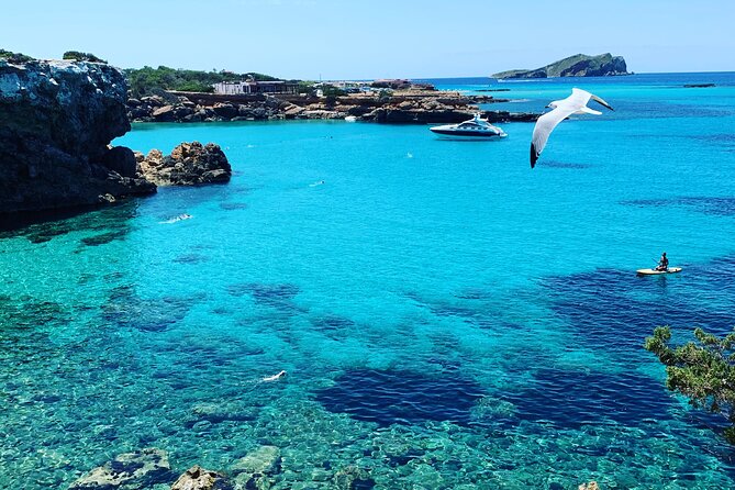 SUP Adventure Ibiza (stand up paddle & snorkeling) VIP TOUR - SUP and snorkeling for real people: what to expect